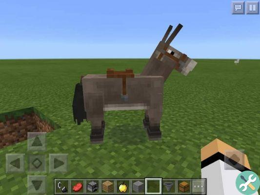 ¿Qué comen los caballos y los burros en Minecraft? - ¿Cómo alimentarlos?