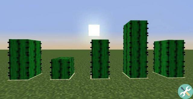 ¿Cómo puedo usar el cactus en Minecraft? - Granja de cactus, armadura de cactus, combustible de cactus, etc.