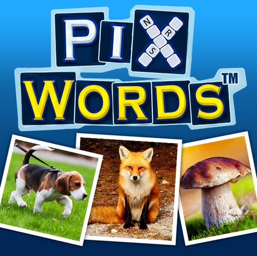 PIXWORDS