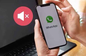WhatsApp notifications don't work, 8 solutions