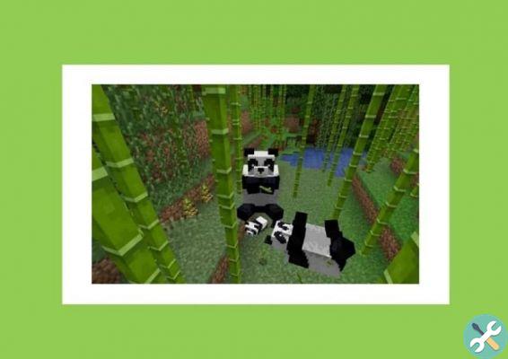 ¿Dónde y cómo encontrar bambú en Minecraft y para qué sirve? - Usas bambú