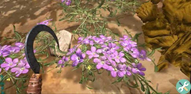 Cómo obtener o cultivar seda o seda en ARK: Survival Evolved - Trucos útiles