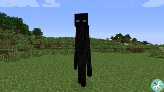 Comment trouver et apprivoiser un Enderman dans Minecraft ? Existe-t-il un Enderman blanc ?