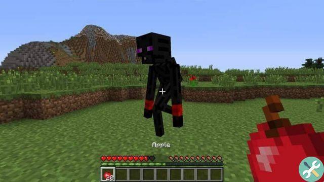 How to find and tame an Enderman in Minecraft? Is there a white Enderman?