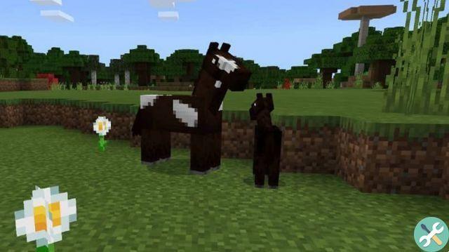 ¿Qué comen los caballos y los burros en Minecraft? - ¿Cómo alimentarlos?