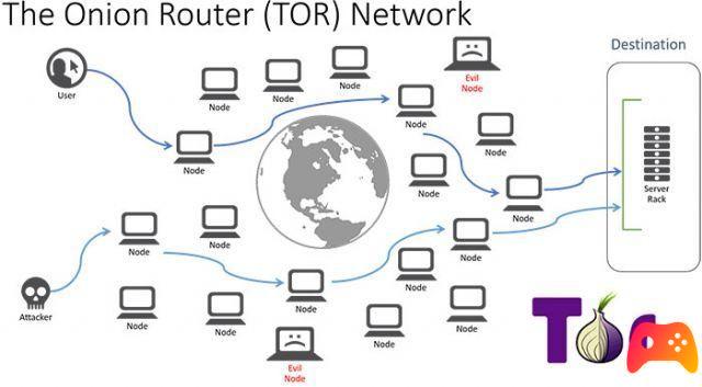 TOR fires 13 employees due to the crisis
