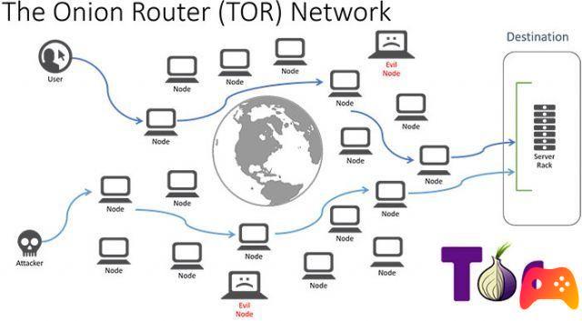 TOR despede 13 funcionários devido à crise