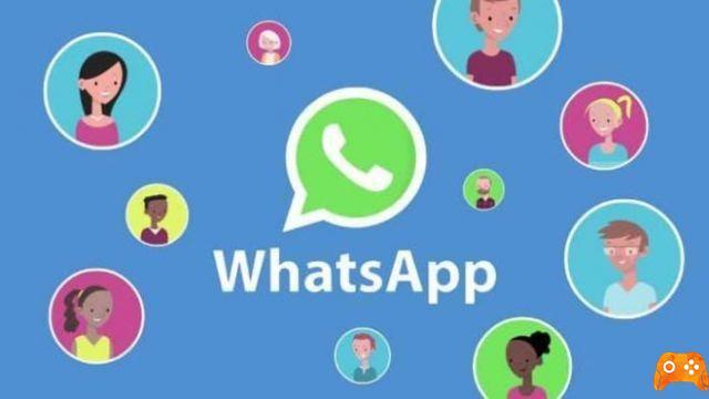How to create surveys on WhatsApp and share them?
