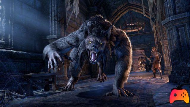 The Elder Scrolls Online: Wolfhunter - Review