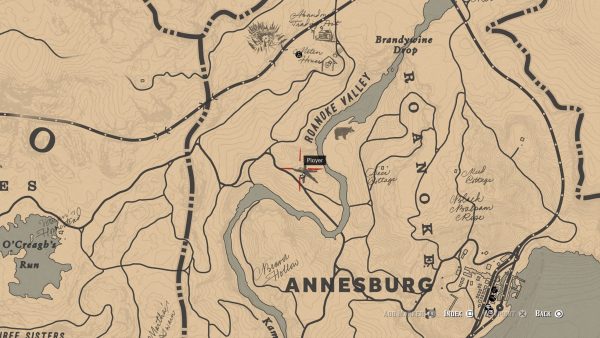 How to get the Viking set in Red Dead Redemption 2