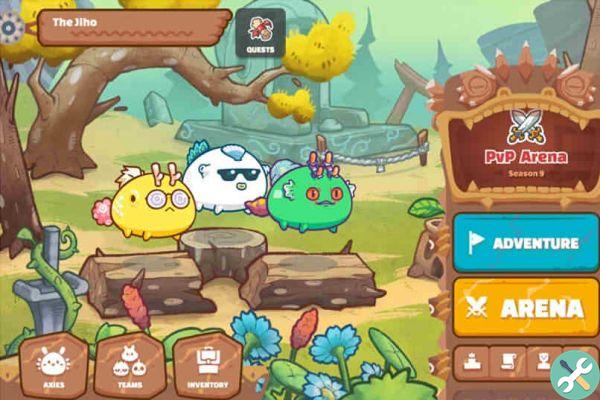 What is Axie Infinity and how to play it professionally to generate income?
