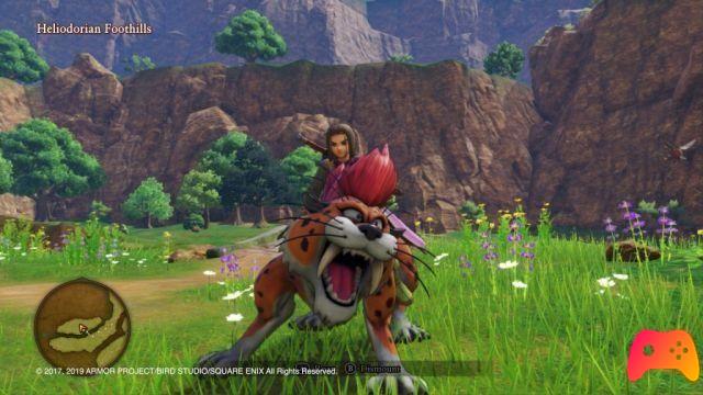 Dragon Quest XI S Definitive Edition - Probado