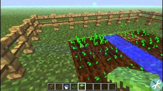Cómo plantar automáticamente en tierras de cultivo en Minecraft