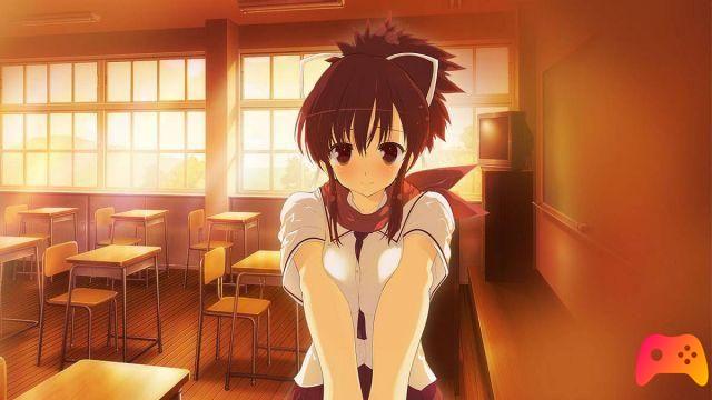 REVIEW: Senran Kagura: Reflexions - oprainfall