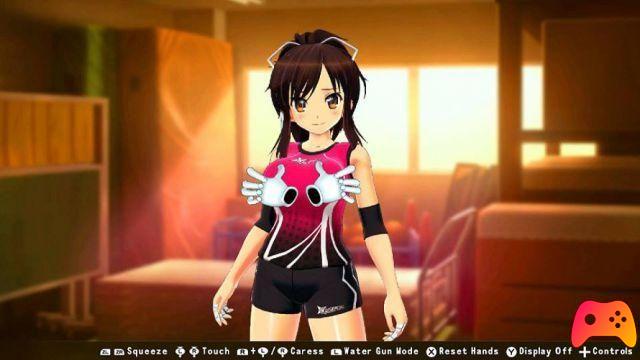 Réflexions Senran Kagura - Critique