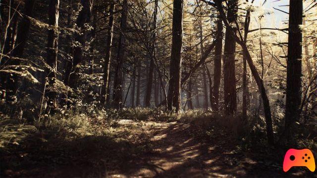 Blair Witch: how to access all endings