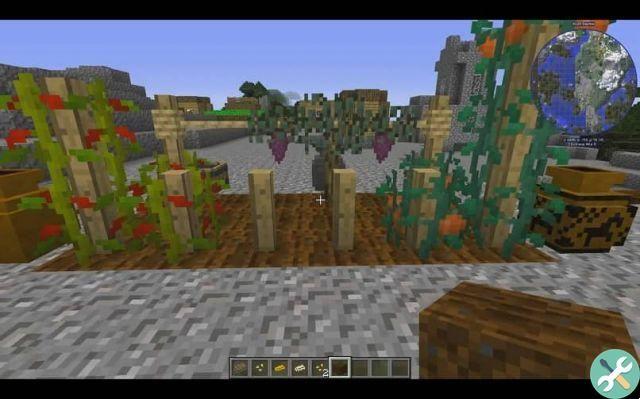 How to Plant Tomatoes in Minecraft - Rustic mod creation