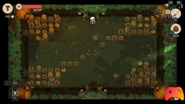 Moonlighter - Revisión de Nintendo Switch