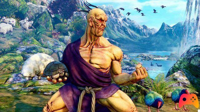 Street Fighter V: latest character revealed