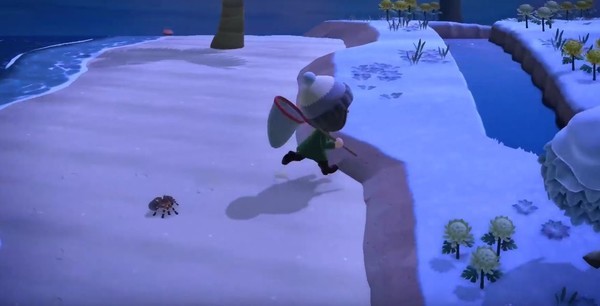 Animal Crossing: New Horizons - Bugs of June