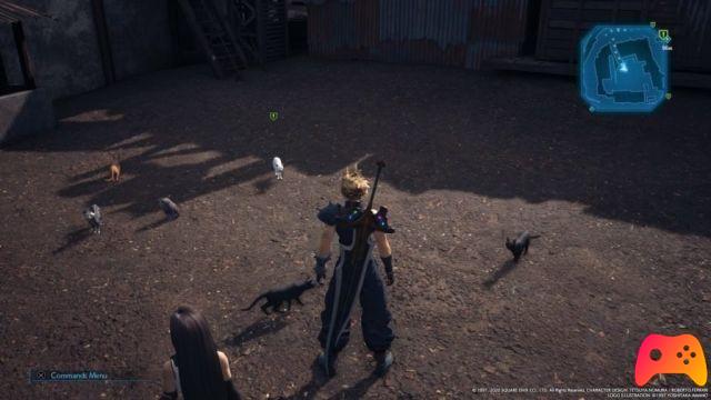 Final Fantasy VII Remake - Où trouver des chats