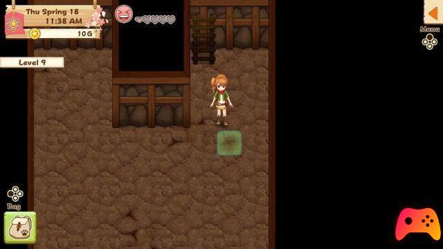 Harvest Moon: Light of Hope Special Edition - Revisão