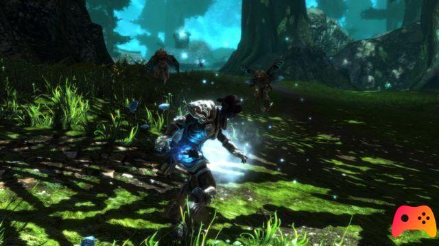 Kingdoms of Amalur: Re-Reckoning - Review