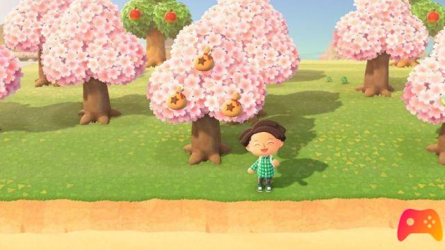 Animal Crossing New Horizons - Insects of August