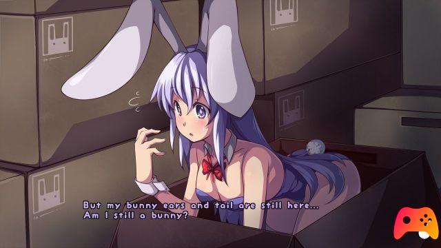 Rabi-Ribi - Revisão