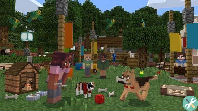 Como posso denunciar ou denunciar um servidor ou usuário no Minecraft