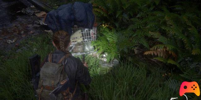 The Last of Us: Part II - Coin Guide