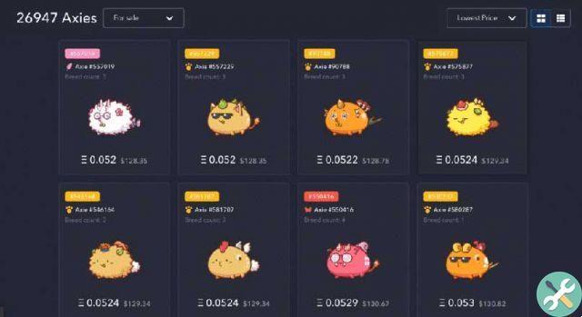 How much can I earn in Axie Infinity per month? - Playing time