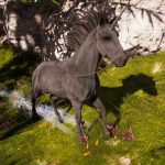 How to get Fobos liveries in Assassin's Creed Odyssey