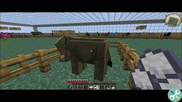 Que mangent les lamas, les moutons, les tortues, les vaches, les cochons, les dauphins, les ours polaires et les autres animaux dans Minecraft ?