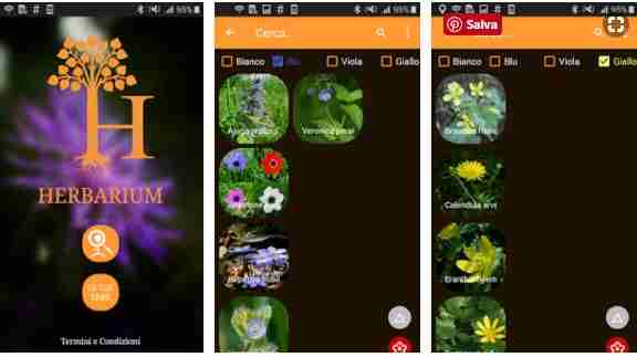 App to recognize plants on Android and iOS the best