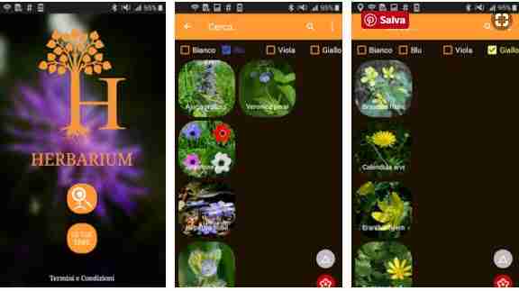 Application pour reconnaître au mieux les plantes sur Android et iOS