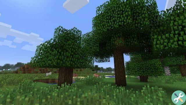 How to plant trees in Minecraft and make them grow very fast