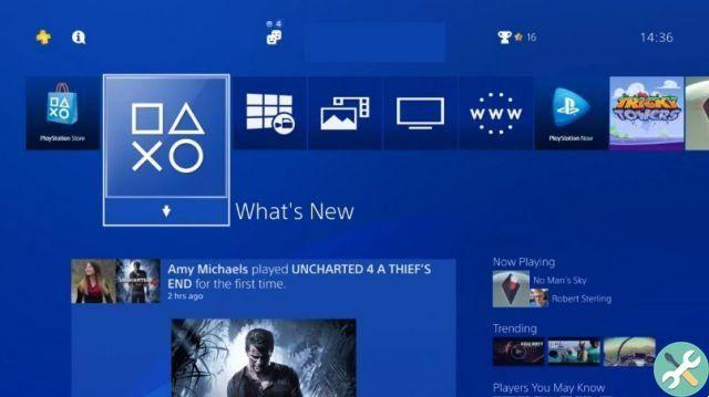 How to view or delete browsing history and cookies on my PlayStation 4, quickly and easily