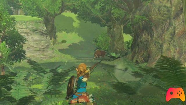 Mini Guide for The Legend of Zelda: Breath of The Wild