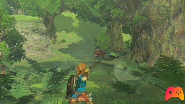 Mini guia para The Legend of Zelda: Breath of The Wild