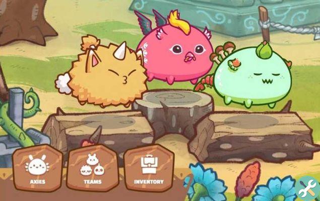 Guia definitivo para iniciantes do Axie Infinity: aprenda a jogar facilmente