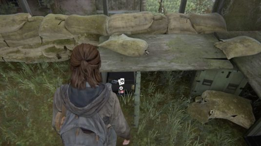 The Last of Us: Part II - Location of all cards