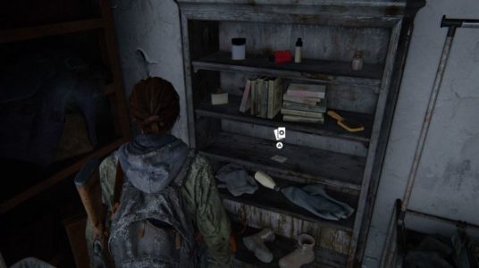 The Last of Us: Part II - Location of all cards