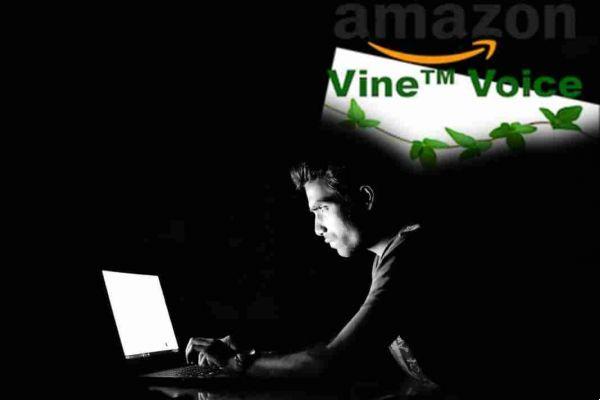 Amazon Vine: Get free products through your reviews