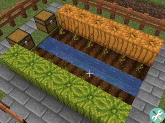 How to easily get or plant pumpkins in Minecraft