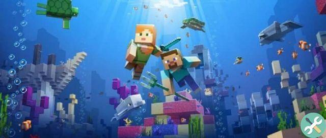Comment trouver et obtenir le Cœur de la mer dans Minecraft et à quoi il sert ?