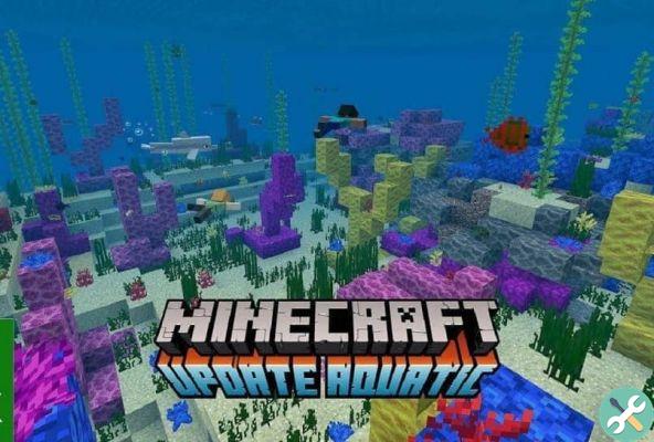 How to find and get the heart of the sea in Minecraft and what is it for?
