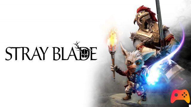 Stray Blade: new next-gen game coming soon