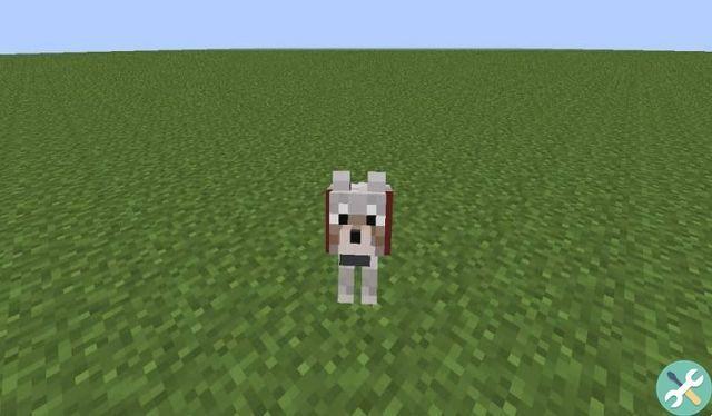 Como encontrar lobos e cães no Minecraft e como domá-los?