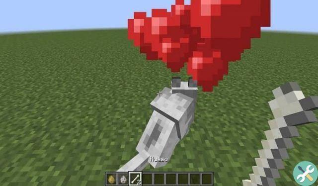 Comment trouver des loups et des chiens dans Minecraft et comment les apprivoiser ?